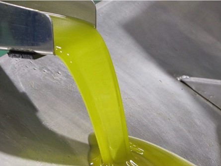 Almenara Bio-Olivenöl  Extra nativ 500ml
